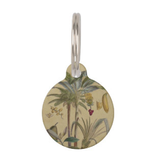 Placa Para Mascotas Arte botánico de frutas tropicales palmo antiguo