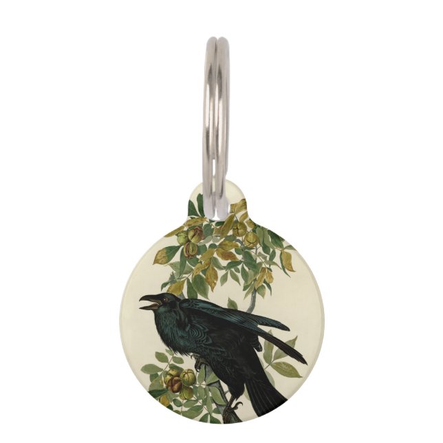 Placa Para Mascotas Arte clásico Audubon Raven (Anverso)