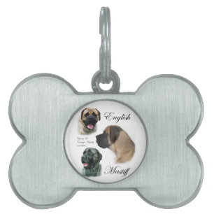 Placa Para Mascotas Arte de castigos en inglés