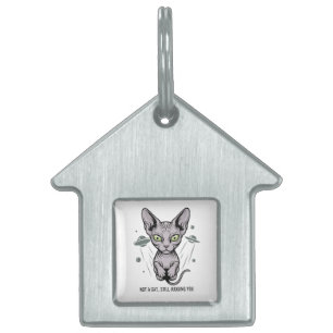 Placa Para Mascotas Arte de gato Sphynx juzgón en el espacio