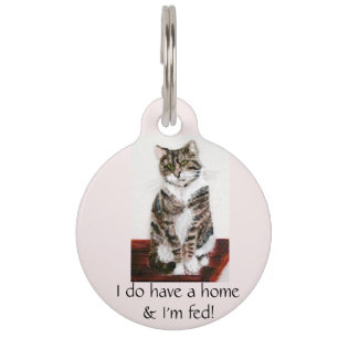 Placa Para Mascotas Arte de gatos de tabulaciones