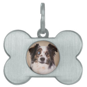 Placa Para Mascotas Arte de pintura al óleo de perro pastor australian