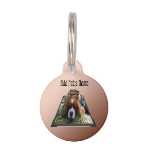 Placa Para Mascotas Arte emergente de Cavalier Spaniel,