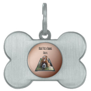 Placa Para Mascotas Arte emergente del Cavalier Spaniel, 
