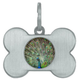 Placa Para Mascotas Asombroso Peacock y plumas accesorios de fotografí