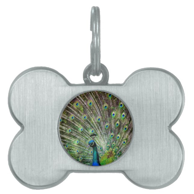 Placa Para Mascotas Asombroso Peacock y plumas accesorios de fotografí (Frente)