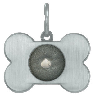 Placa Para Mascotas Atrapado en una concha: Achempong minimalista a la