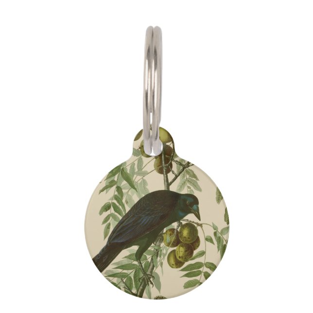 Placa Para Mascotas Audubon American Crow Black Bird (Anverso)