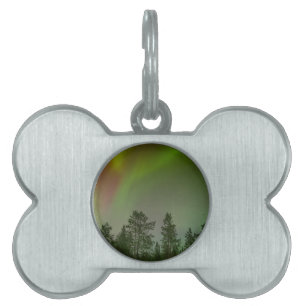 Placa Para Mascotas Aurora Boreal Luces del Norte Cielos Resplandor Br