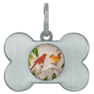 Placa Para Mascotas Aves cardinales. Canto de amor