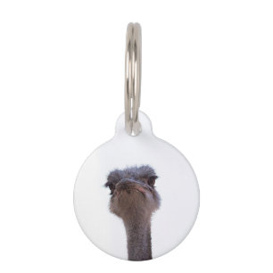 Placa Para Mascotas avestruz