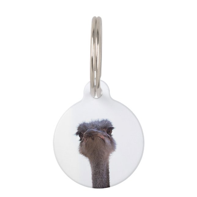 Placa Para Mascotas avestruz (Anverso)