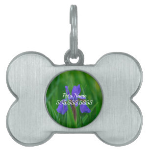 Placa Para Mascotas Azul holandés entre hojas etiqueta de identificaci