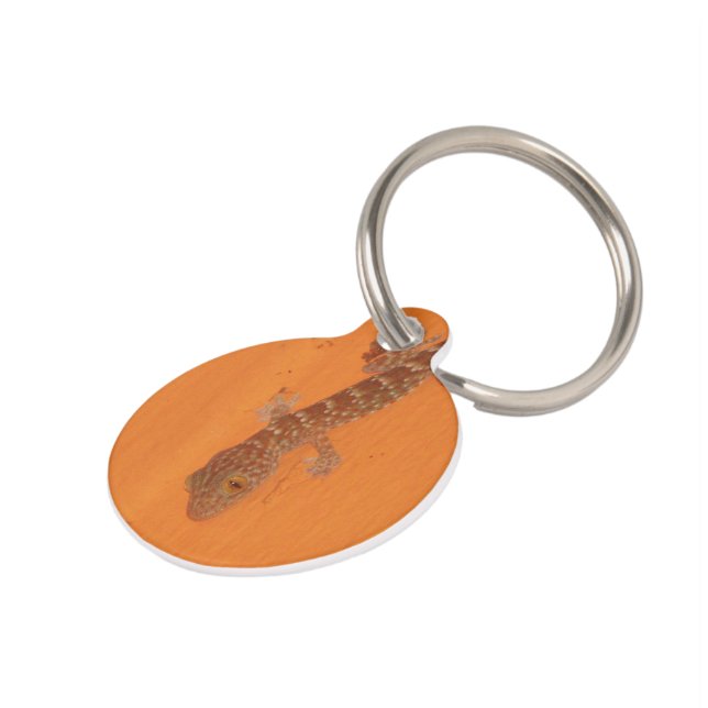 Placa Para Mascotas Baby Tokay Gecko (Lateral)
