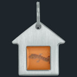 Placa Para Mascotas Baby Tokay Gecko<br><div class="desc">Un bebé gecko Tokay trepando un muro en Khon Kaen,  Isan,  Tailandia. Go Isaan Photography se especializa en imágenes idiosincrásicas de Tailandia,  Camboya y Laos. Aquí encontrará tarjetas de felicitación únicas,  postales,  Posters,  Mousepads y más.</div>