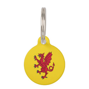 Placa Para Mascotas Bandera de Somerset