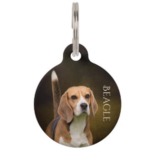 Placa Para Mascotas Beagle
