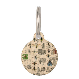 Placa Para Mascotas Bee Insect Bug Wasp Naturaleza Abejas Pintura