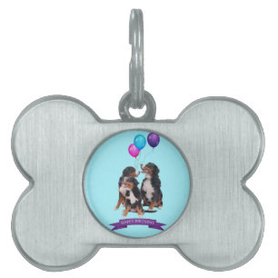 Placa Para Mascotas Bernese Mountain Dogs Feliz cumpleaños