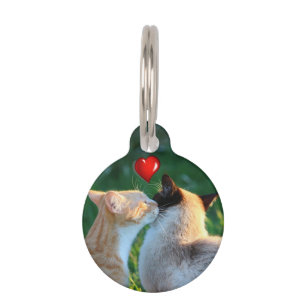 Placa Para Mascotas Beso