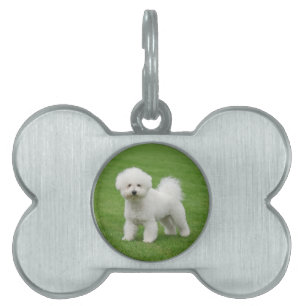 Placa Para Mascotas Bichon Frise