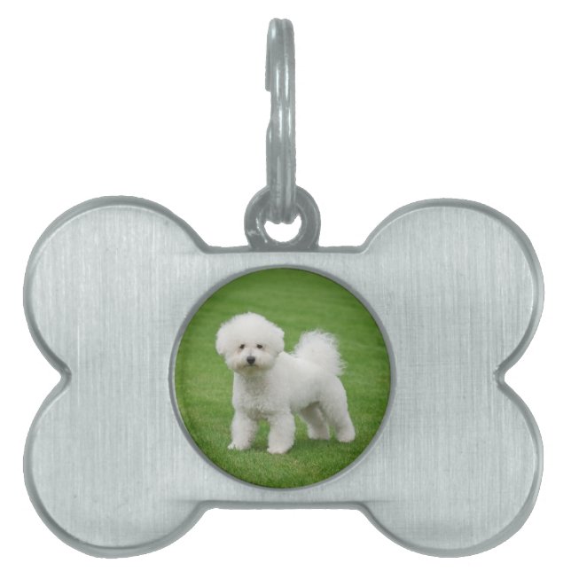 Placa Para Mascotas Bichon Frise (Frente)