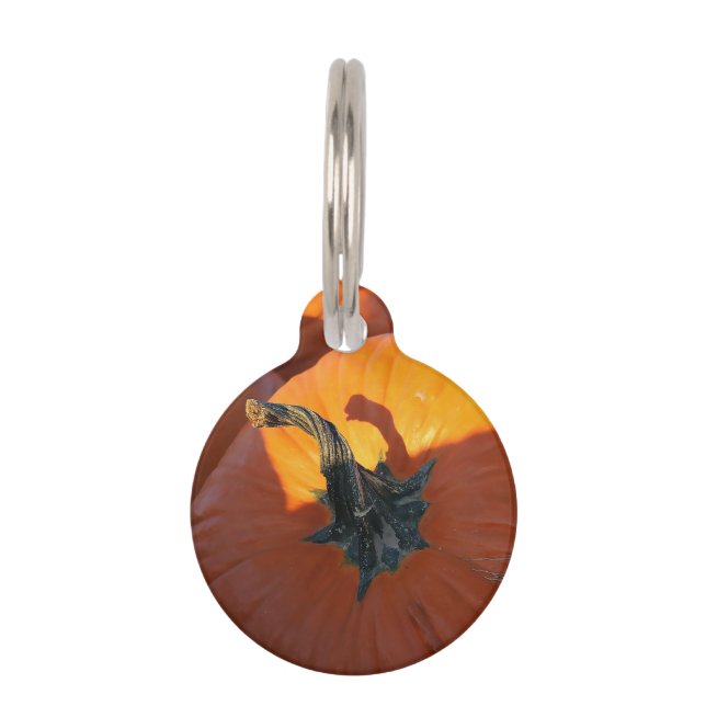 Placa Para Mascotas Big Orange Pumpkin  (Anverso)