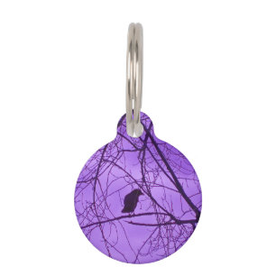 Placa Para Mascotas Black Crow Purple Sky Black Spooky Treys