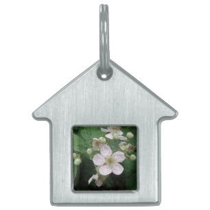 Placa Para Mascotas Blackberry Flowers Pet Tag