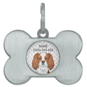 Placa Para Mascotas Blenheim Cavalier King Charles Spaniel & Texto