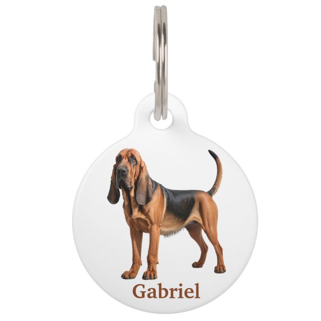 Placa Para Mascotas Bloodhound Personalizar (Anverso)