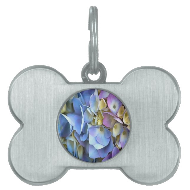Placa Para Mascotas Blue Hydrangea Shrub Bossom artístico (Frente)