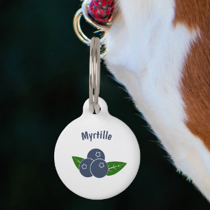 Placa Para Mascotas Blueberry Pet Tag