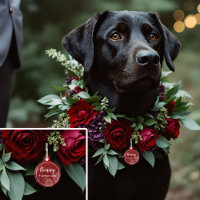 Boda de Otoño del Zorro Juguetón