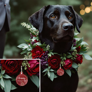 Placa Para Mascotas Boda de Otoño del Zorro Juguetón