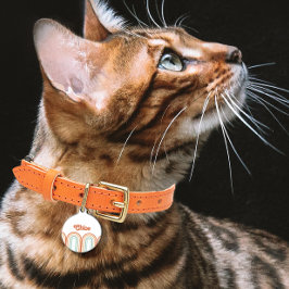 Placa Para Mascotas Boho Bohemian Pastel Arcoiris