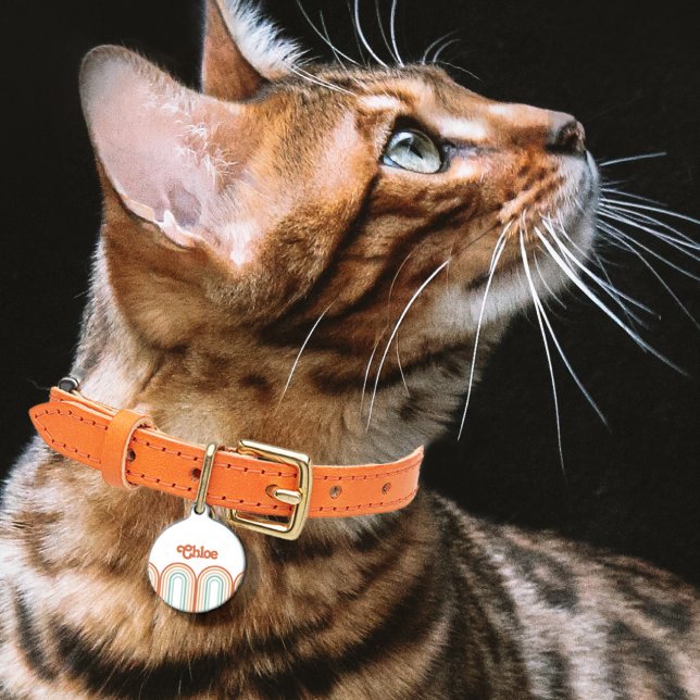 Placa Para Mascotas Boho Bohemian Pastel Arcoiris (Subido por el creador)