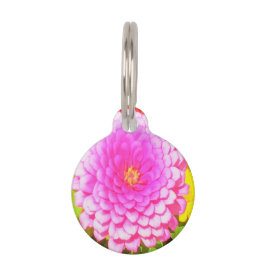 Placa Para Mascotas Bonito redonda de zinnia rosa en el jardín de vera