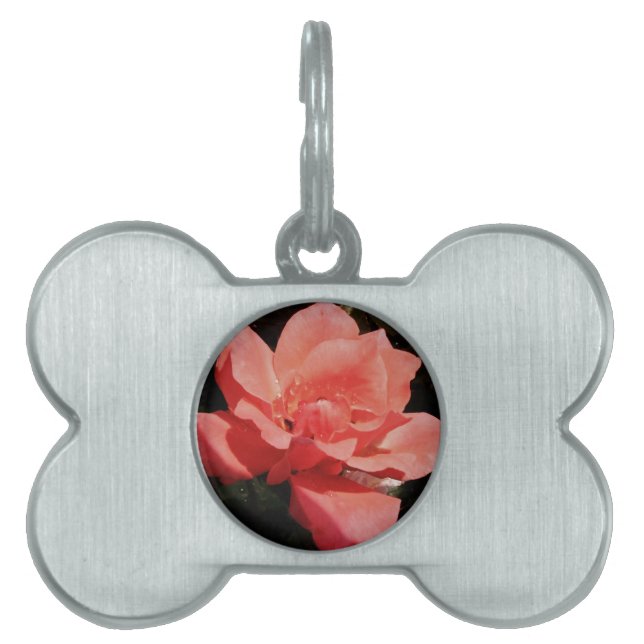 Placa Para Mascotas Bonito Rosa Rosa Rosa floral (Frente)