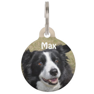 Placa Para Mascotas Border Collie