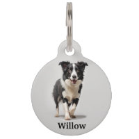 Border Collie Personalizado