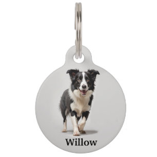 Placa Para Mascotas Border Collie Personalizado