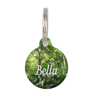 Placa Para Mascotas Bosque lluvioso dominicano I Naturaleza tropical v