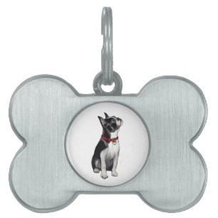 Placa Para Mascotas Boston Terrier (A) - mirando hacia arriba