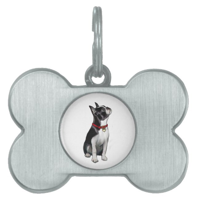 Placa Para Mascotas Boston Terrier (A) - mirando hacia arriba (Frente)