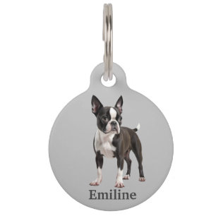 Placa Para Mascotas Boston Terrier Personalizado