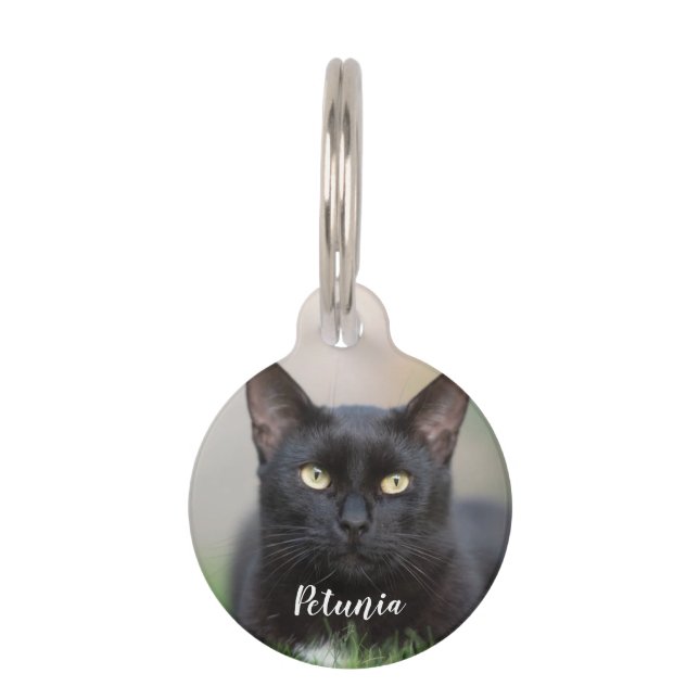 Placa Para Mascotas botón de foto del Mascota del personalizado (Anverso)
