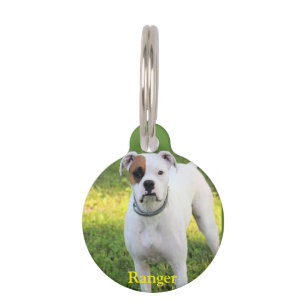 Placa Para Mascotas Boxeador