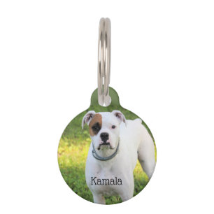 Placa Para Mascotas Boxeador