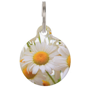 Placa Para Mascotas Bright Summer Daisies
